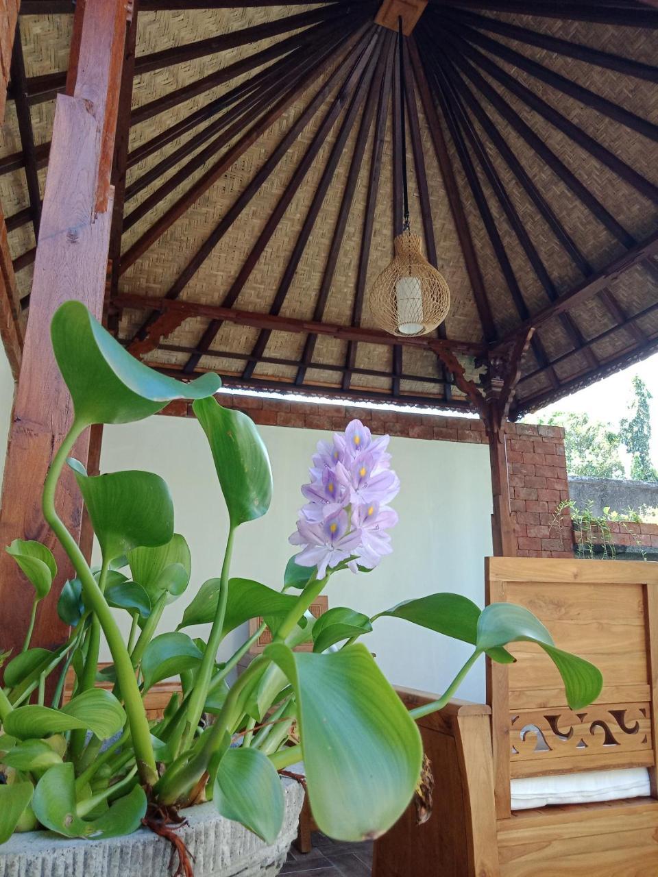 D'Puja Home Stay And Spa Nusa Dua  Exterior foto